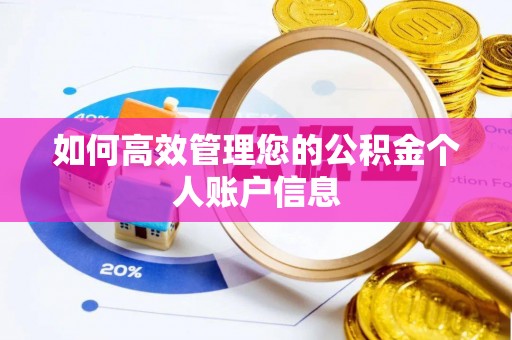 晴隆如何高效管理您的公积金个人账户信息