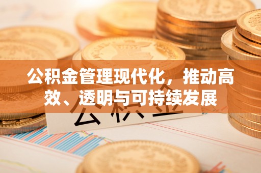 晴隆公积金管理现代化，推动高效、透明与可持续发展