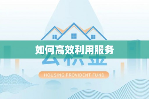 晴隆如何高效利用服务