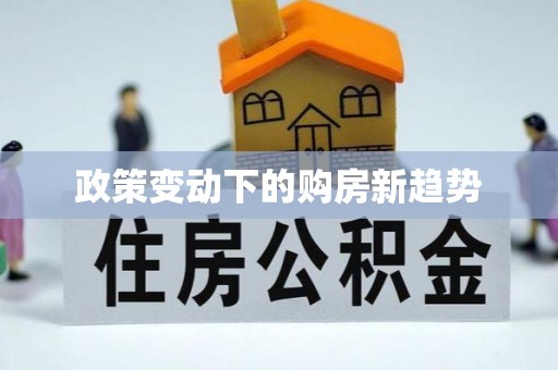 晴隆政策变动下的购房新趋势