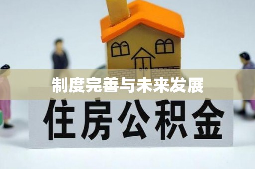 晴隆制度完善与未来发展
