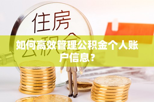 晴隆如何高效管理公积金个人账户信息？