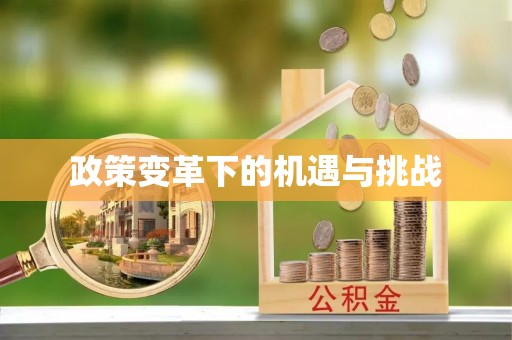 晴隆政策变革下的机遇与挑战