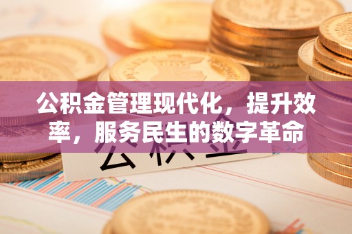 晴隆公积金管理现代化，提升效率，服务民生的数字革命