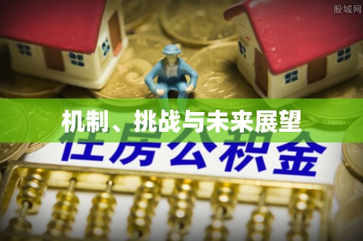 晴隆机制、挑战与未来展望