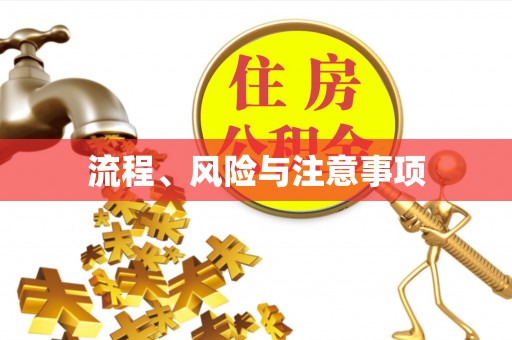 晴隆流程、风险与注意事项